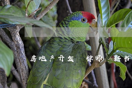 房地产开发 律师 新书 房地产开发 律师 新书